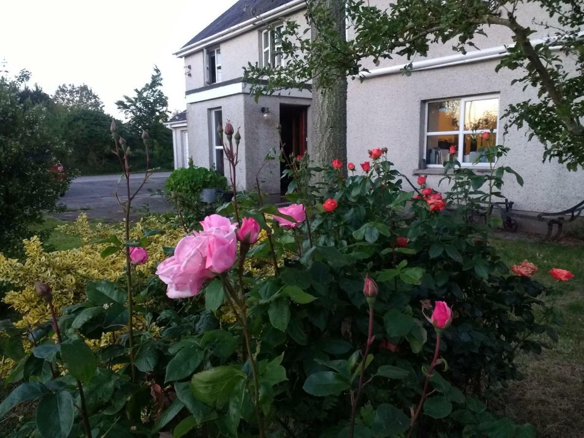 Lisieux House On Lough Neagh Aghalee Exterior foto
